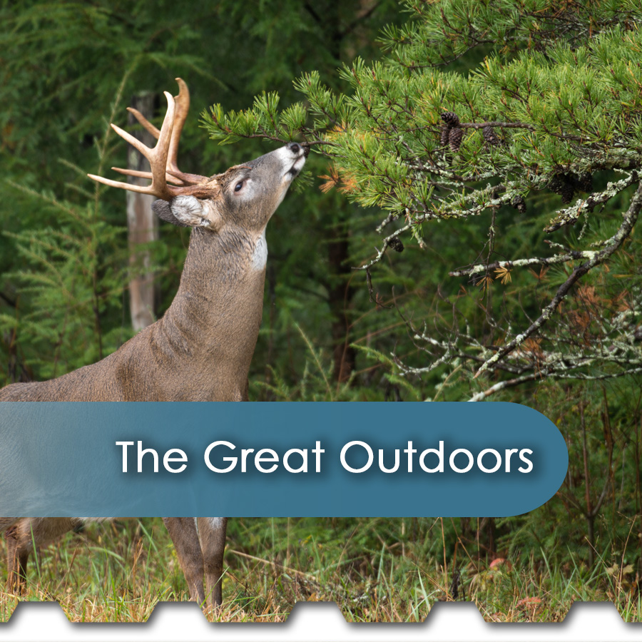 Participating in the Great Outdoors 7 the great outdoors - The Chemical Company